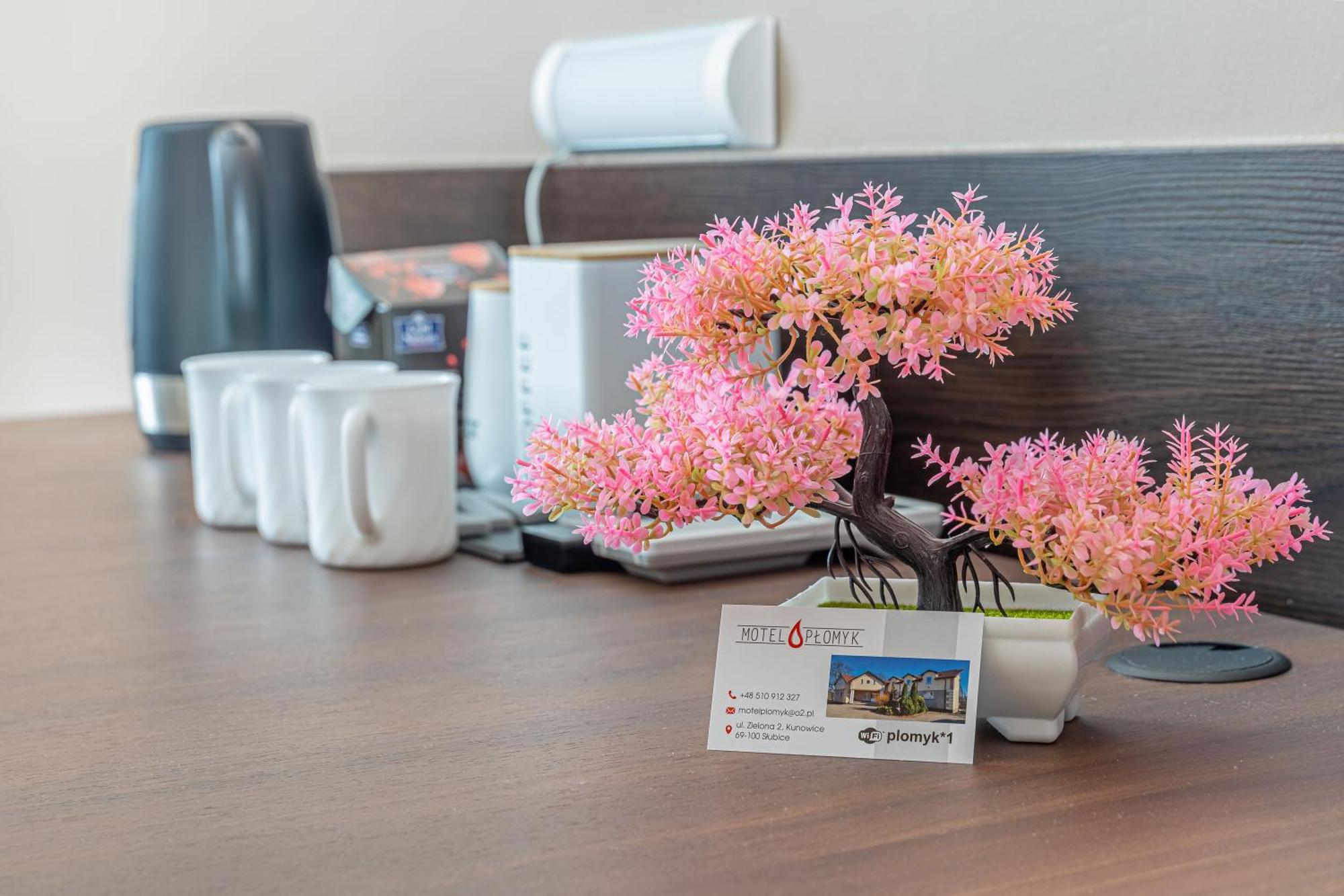Motel "Plomyk" Kunowice Ngoại thất bức ảnh